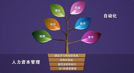 人事管理案例及评析